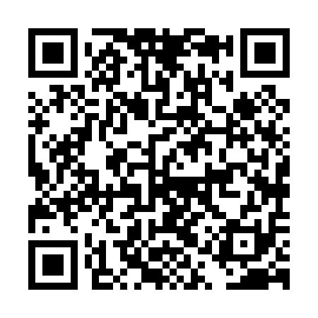 QR code for DQX011
