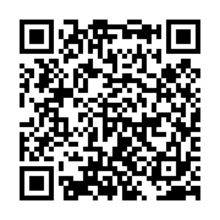 QR code for DSC433
