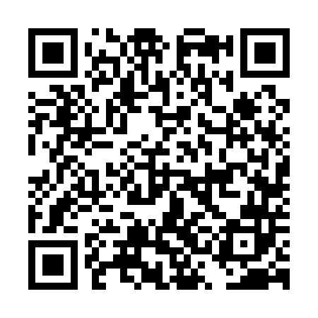 QR code for DSF142