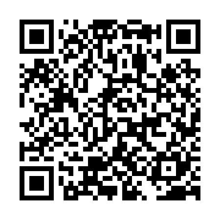 QR code for DSF225
