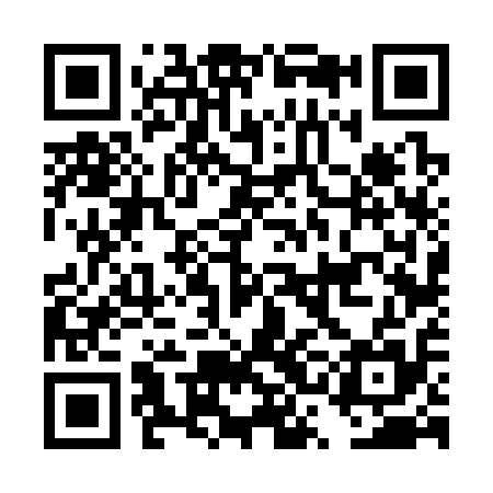 QR code for DSF315