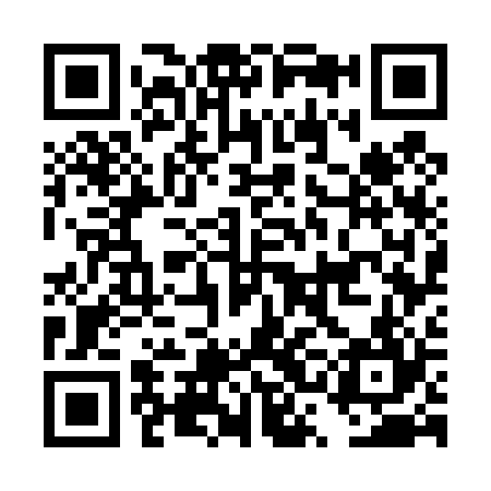 QR code for DSG424