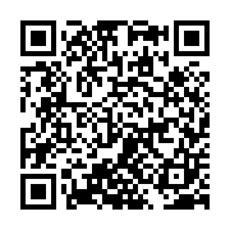 QR code for DSG803