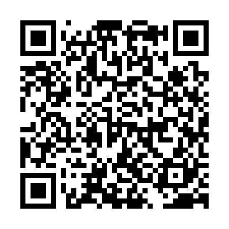 QR code for DSI320