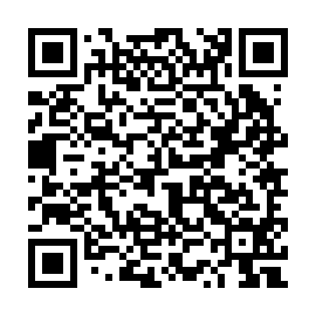 QR code for DSJ294