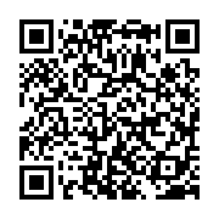 QR code for DSJ319