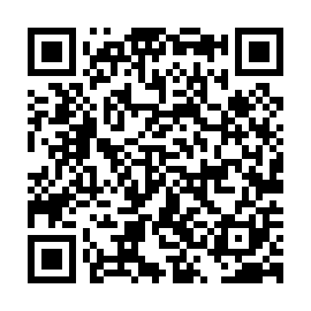 QR code for DSL001