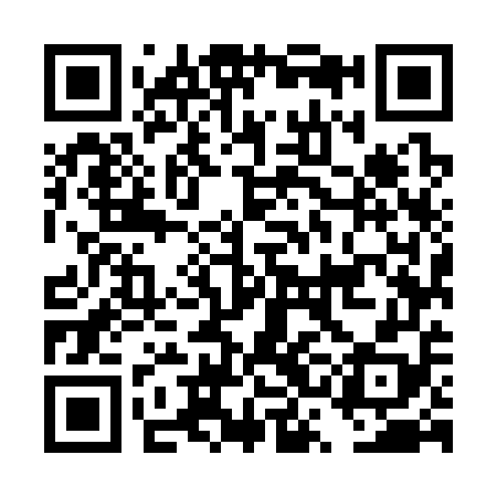 QR code for DSM358