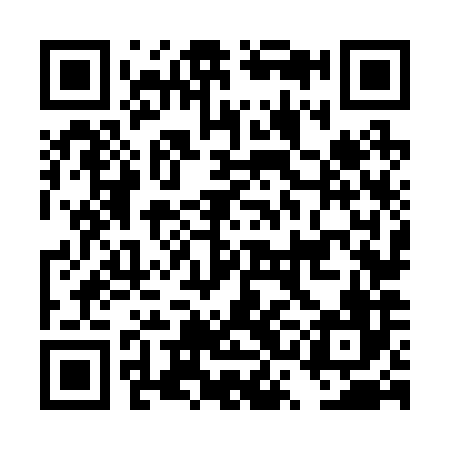 QR code for DSN286