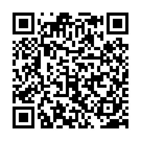 QR code for DSS220