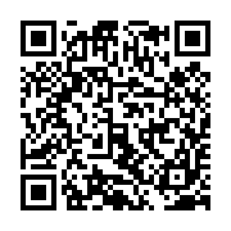 QR code for DSS497