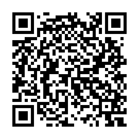 QR code for DSS741