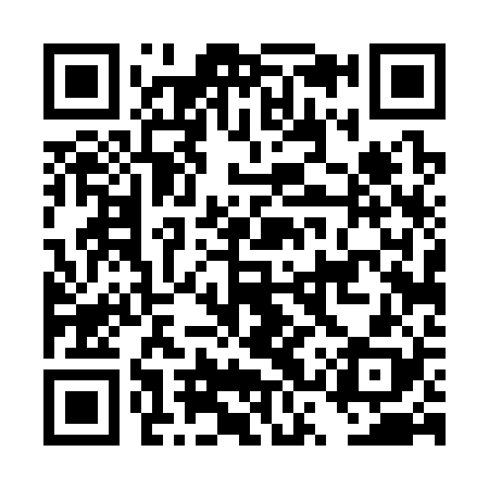 QR code for DST328