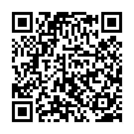 QR code for DST435