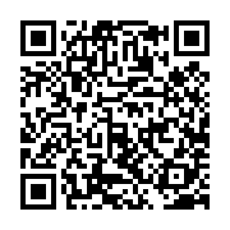 QR code for DST488