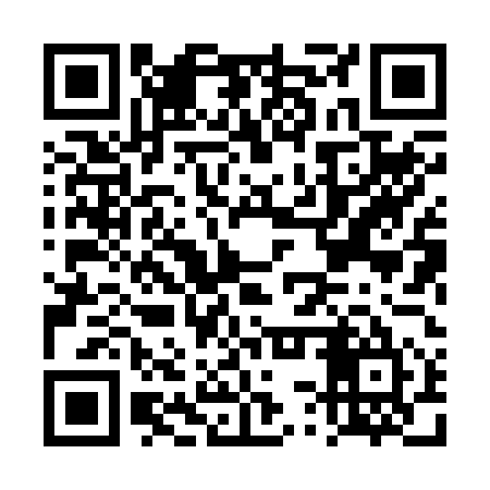 QR code for DSX255