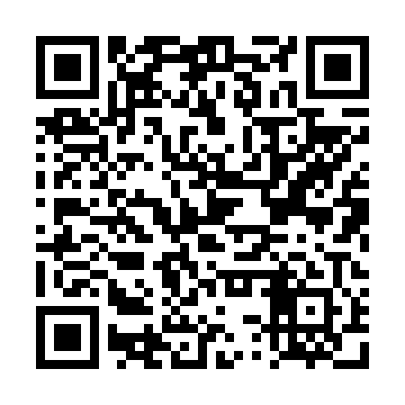 QR code for DSX601