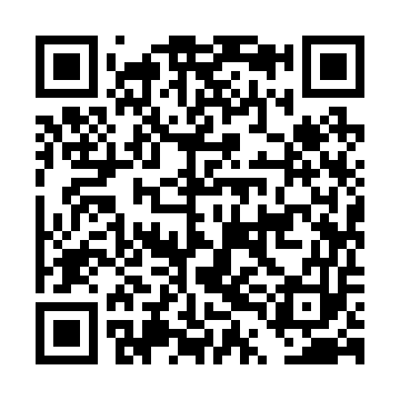 QR code for DTI253