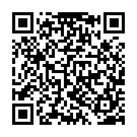 QR code for DTL954