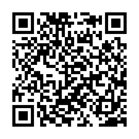 QR code for DUD333