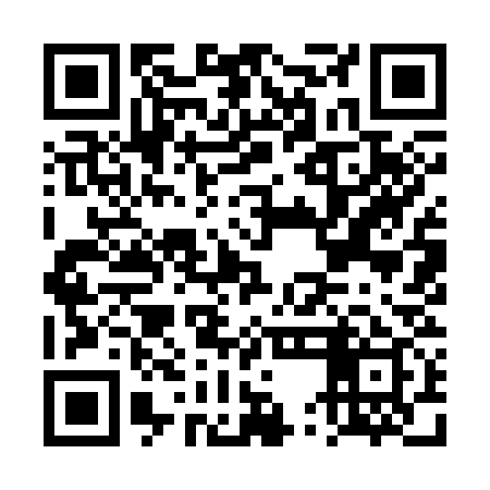 QR code for DUI339