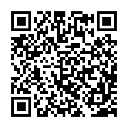 QR code for DUP296