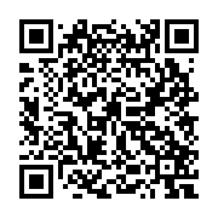 QR code for DUP307