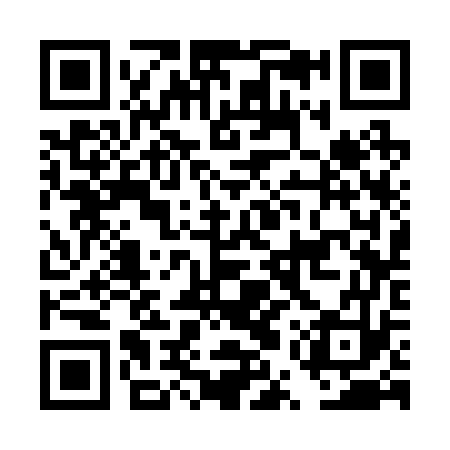 QR code for DUS273