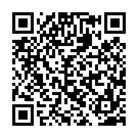 QR code for DUT436