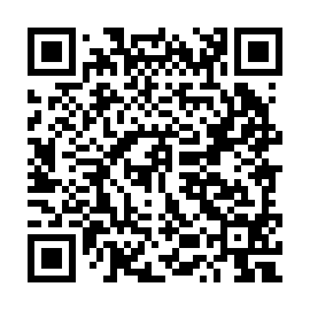 QR code for DUX294