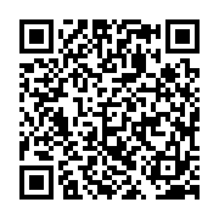 QR code for DUZ333