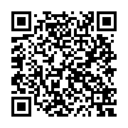 QR code for DVI729