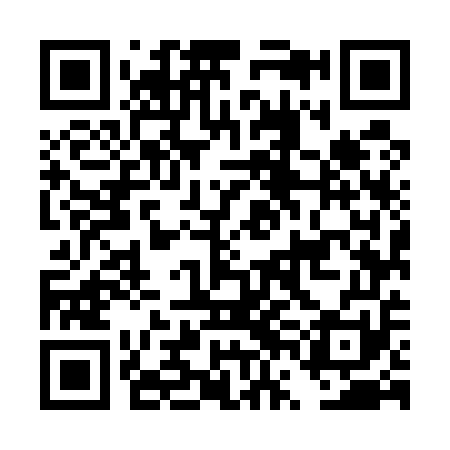QR code for DVM551
