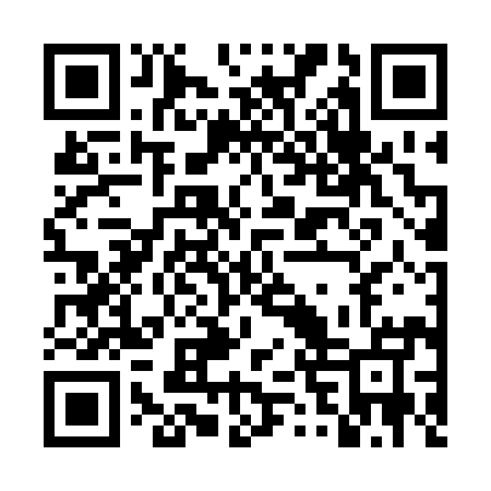 QR code for DVR295