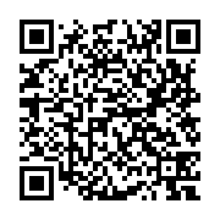 QR code for DWW938