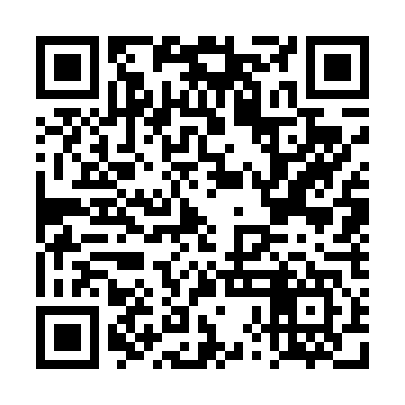QR code for DXG447