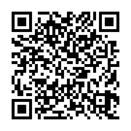 QR code for DXQ729