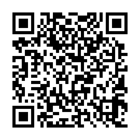 QR code for DYE319