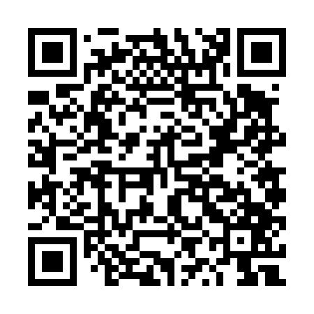 QR code for DYF447