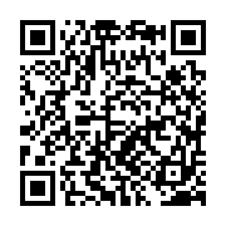 QR code for DYJ313