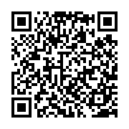 QR code for DYL607