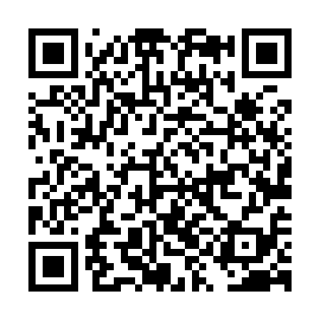 QR code for DYL919