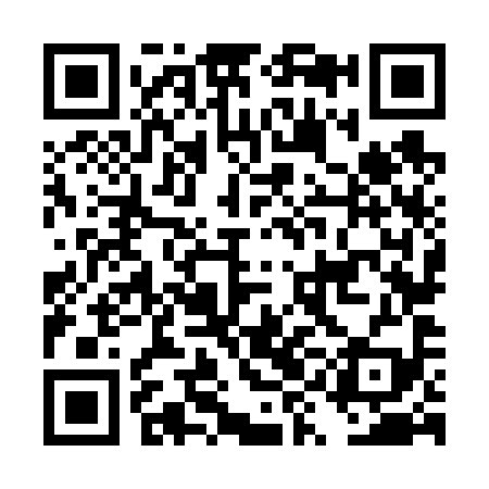 QR code for DYN699