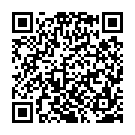 QR code for DYN736