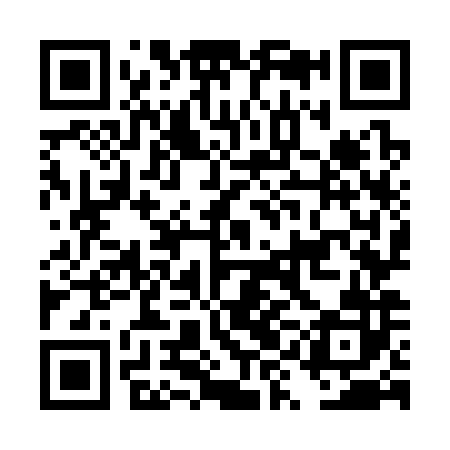 QR code for DYO382