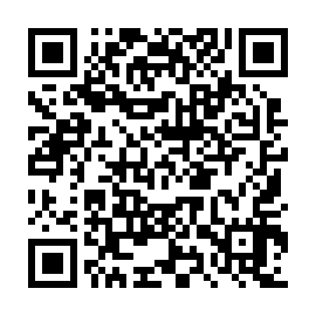QR code for DYY217