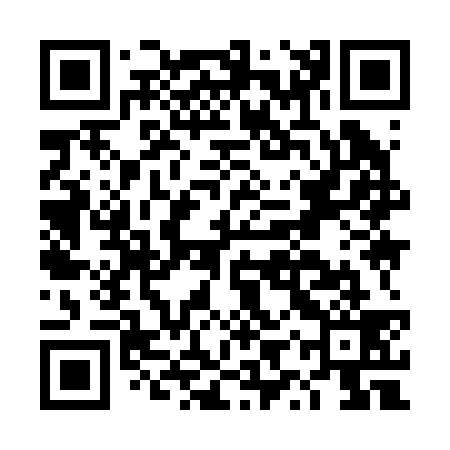 QR code for DYY239