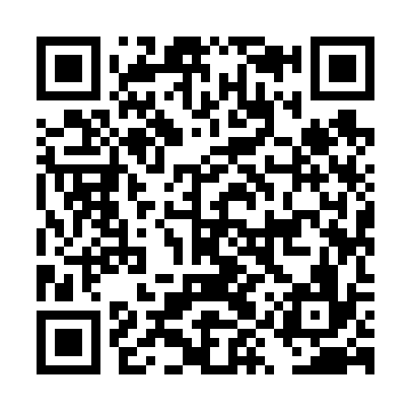 QR code for DYY636