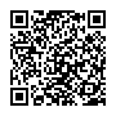 QR code for DYZ029