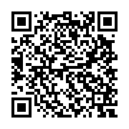 QR code for DYZ041